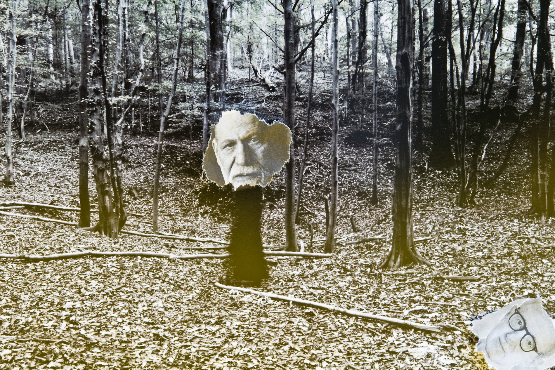 DR. FREUD IN THE WOODS 